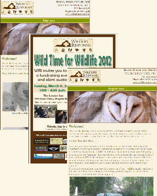 Wildlife Response Newsletter Group